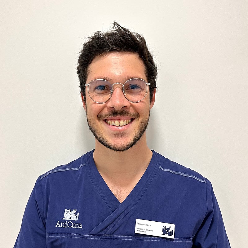 Photo de Dr. Vet. Dubès, Assistant En Cardiologie
