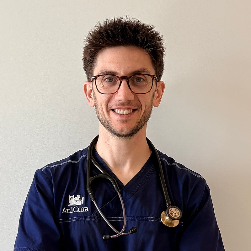 Photo de Dr. Vet. Chamel, Spécialiste Européen En Médecine Interne Oncologie Vétérinaire