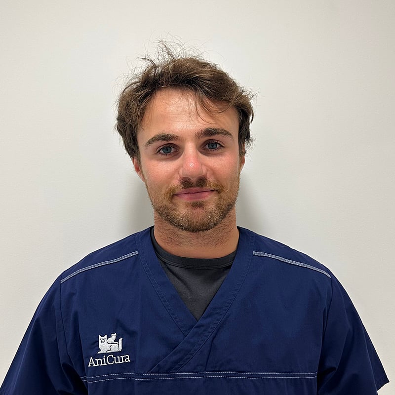 Photo de Dr. Vet. Dubois, Assistant En Médecine Interne