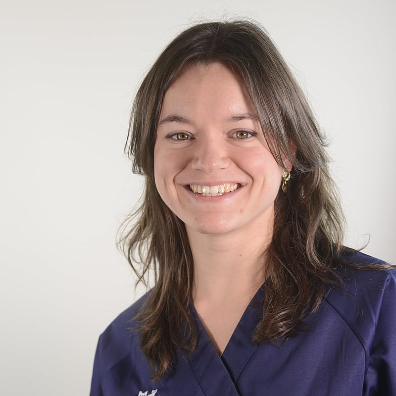 Photo de Dr. Vet. De Chassey, Oncologie