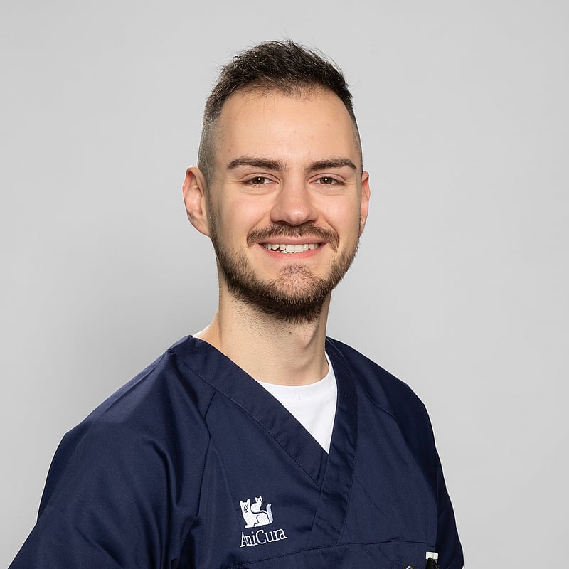 Photo de Dr. Vet. Van De Voorde, Clinicien En Médecine Générale Et Urgences