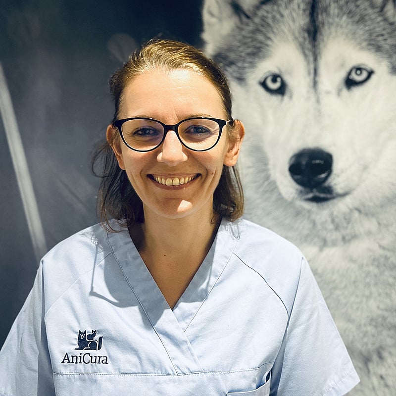 Photo de Cyrielle, Asv Chirurgie