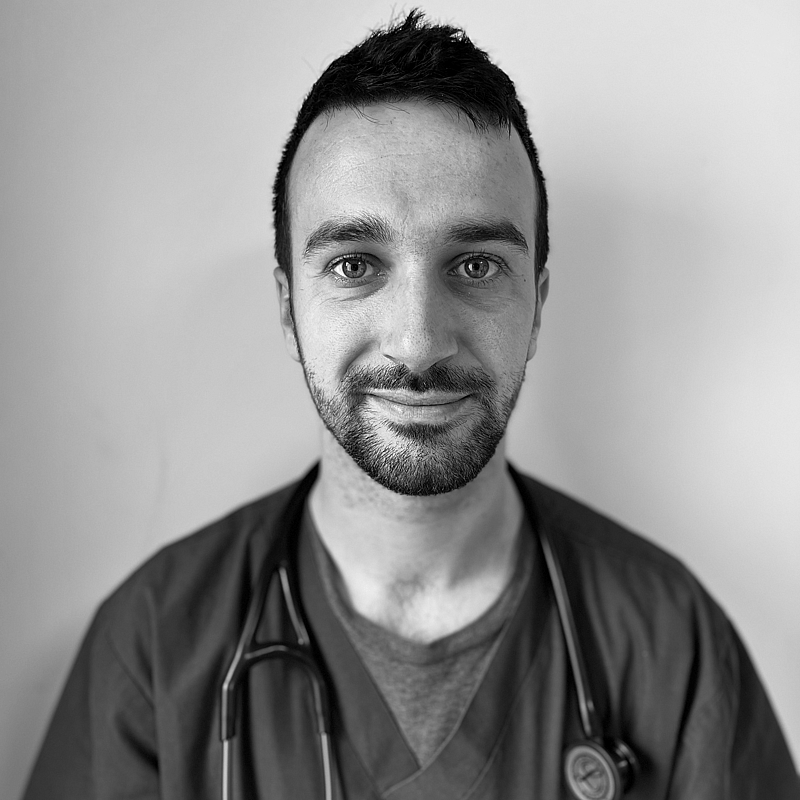 Photo de Dr. Vet. Maufras, Résident En Médecine Interne