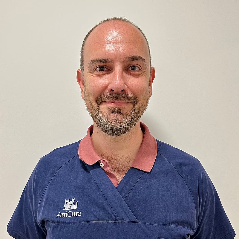 Photo de Dr. Vet. Ruiz, Spécialiste Européen En Médecine Interne