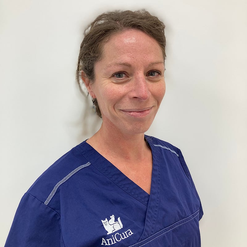 Photo de Dr. Vet. Allemand, Médecine Interne / Imagerie Médicale