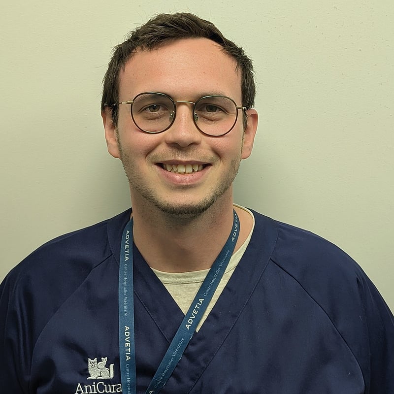 Photo de Dr. Vet. Diop, Oncologie