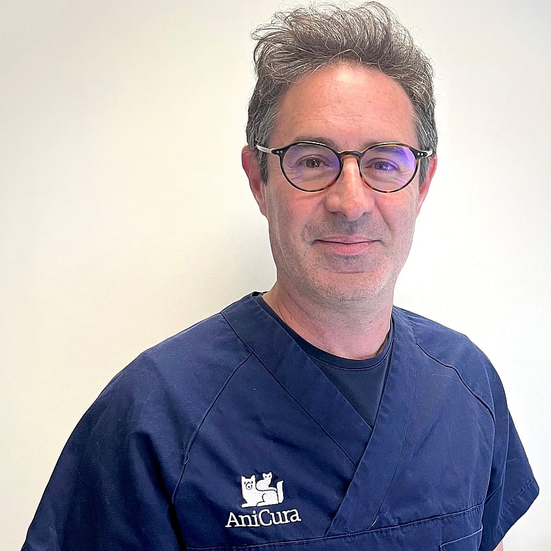 Photo de Dr. Vet. Bembaron, Cardiologie