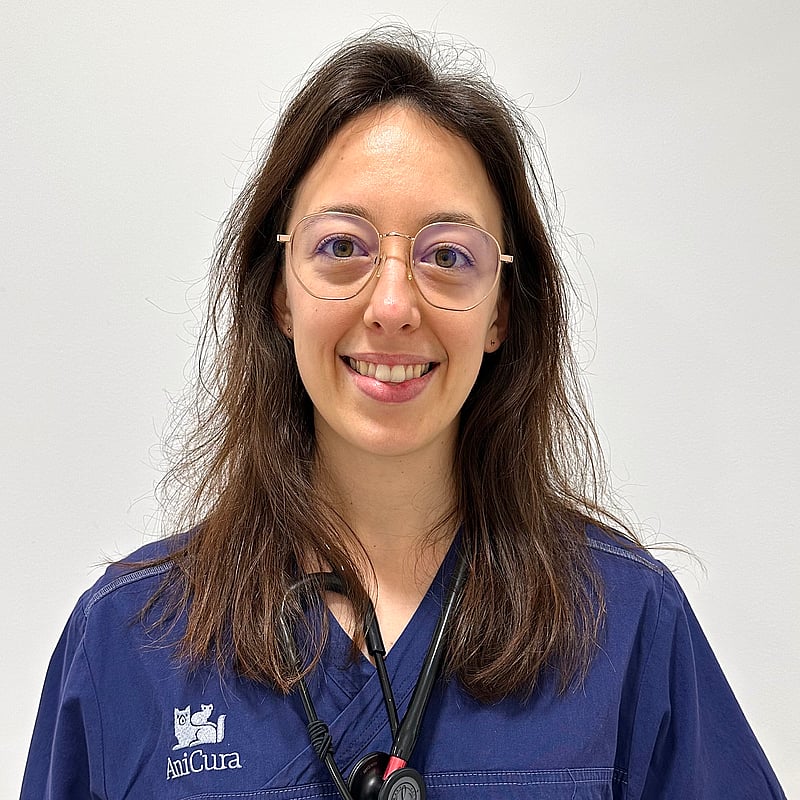 Photo de Dr. Vet. Ollivier, Assistante En Chirurgie