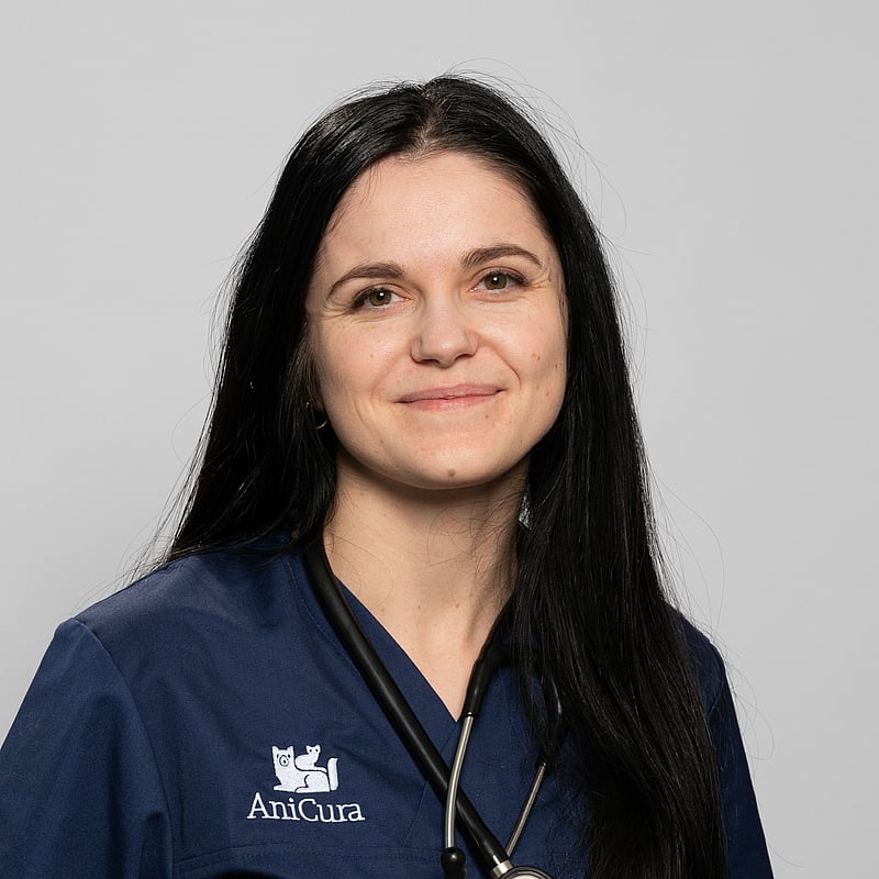 Photo de Dr. Vet. Rochette-Recouly, Clinicienne En Médecine Interne