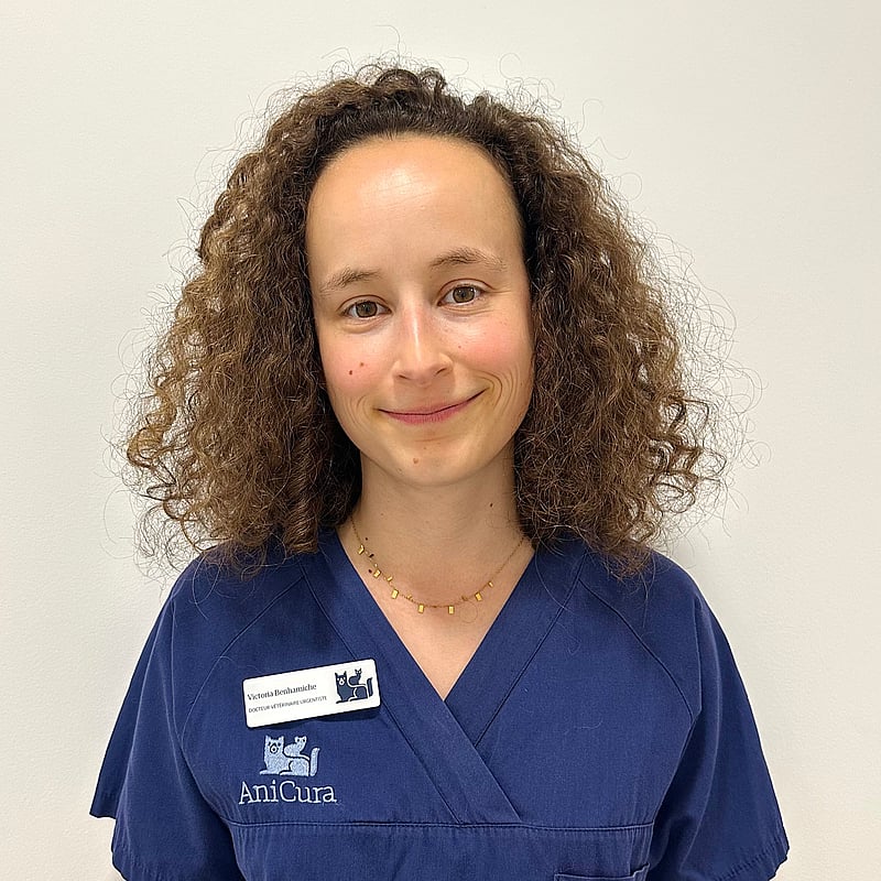 Photo de Dr. Vet. Benhamiche, Urgentiste