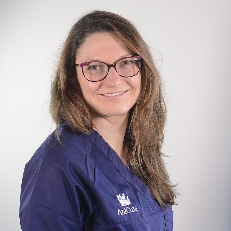 Photo de Dr. Vet. Catelain, Résidente En Dentisterie