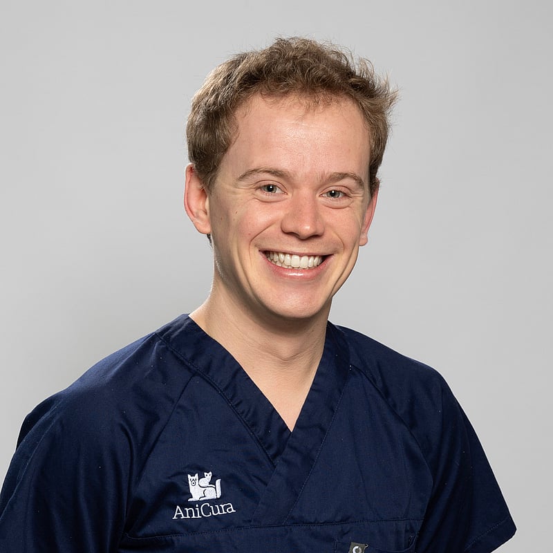 Photo de Dr. Vet. Delhoux, Clinicien En Soins Intensifs Et Urgentologie