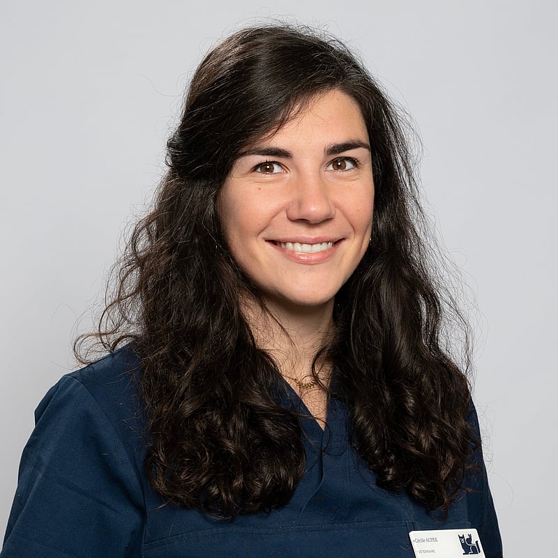 Photo de Dr. Vet. Aupée, Clinicienne En Imagerie Médicale