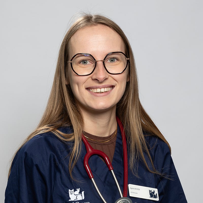 Photo de Dr. Vet. Royer, Clinicienne En Médecine Générale Et Urgences