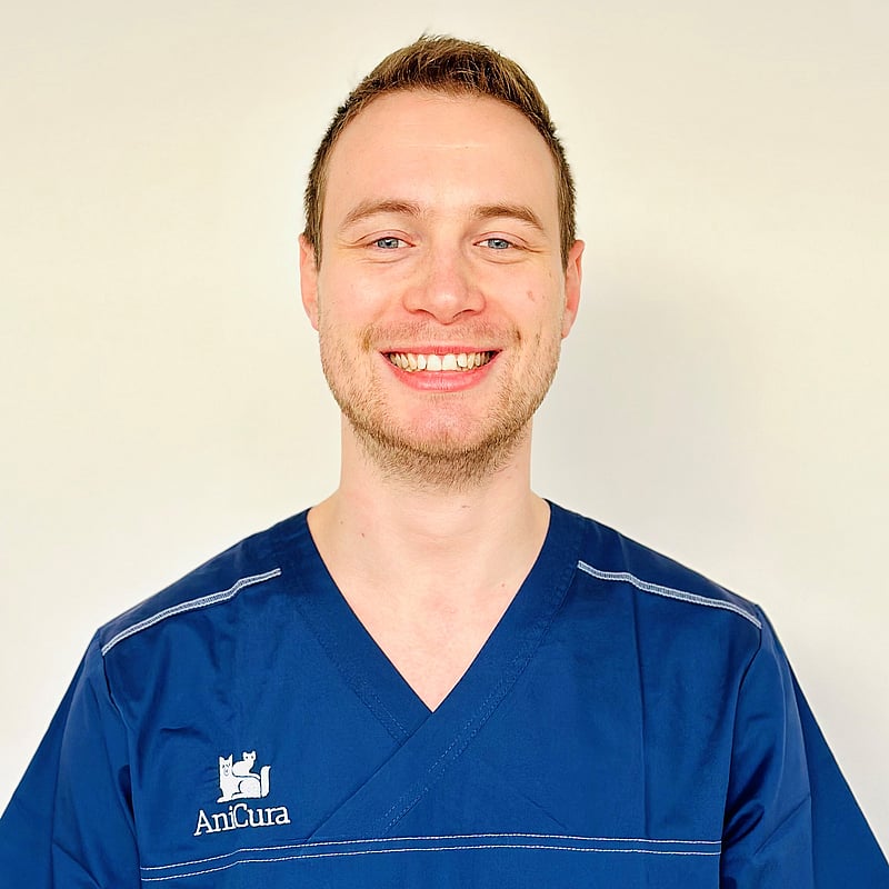 Photo de Dr. Vet. Guelette, Assistant De Chirurgie