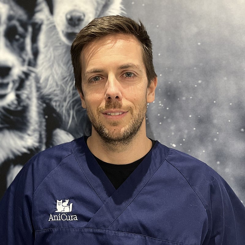 Photo de Dr. Vet. Trnka, Chirurgie