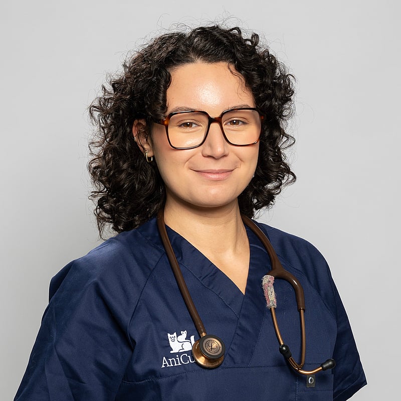 Photo de Dr. Vet. Mercier, Clinicienne En Médecine Générale Et Urgences