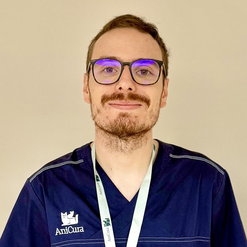 Photo de Dr. Vet. Ramont, Assistant De Médecine Interne