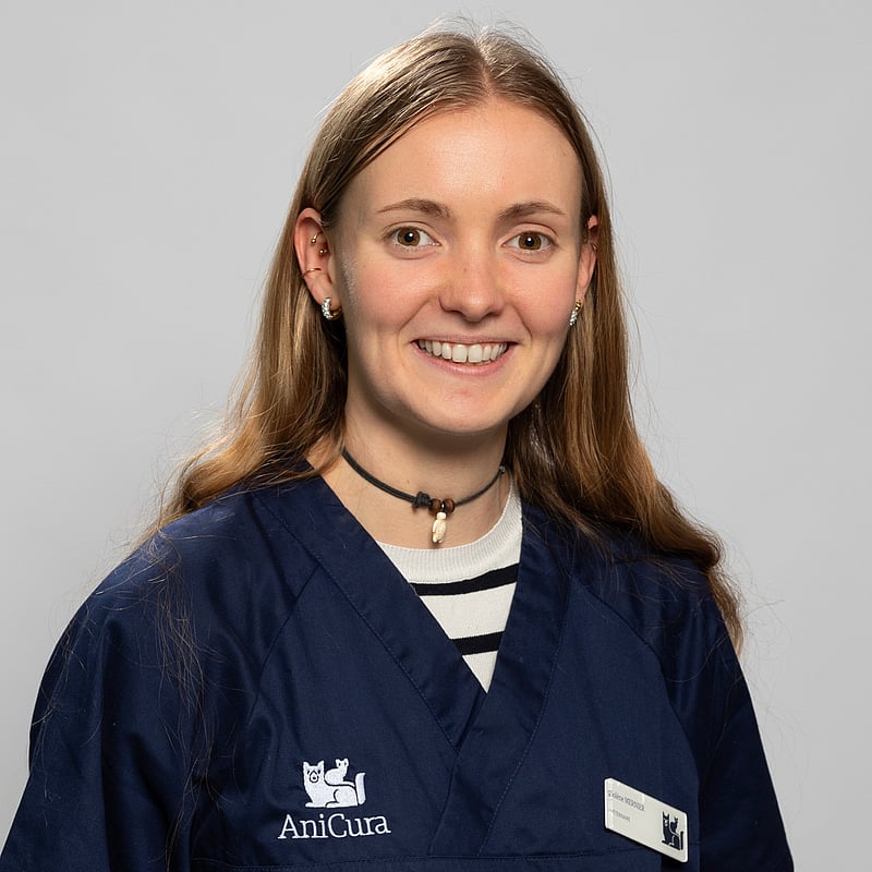 Photo de Dr. Vet. Mernier, Clinicienne En Médecine Générale Et Urgences