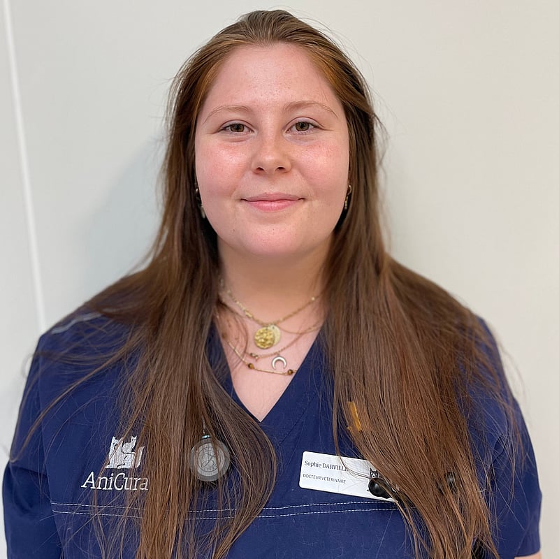 Photo de Dr. Vet. Darville, Urgentiste