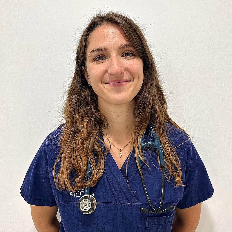 Photo de Dr. Vet. Gevrey, Urgentiste