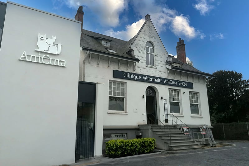 Un bâtiment blanc avec un chat sur le côté.
