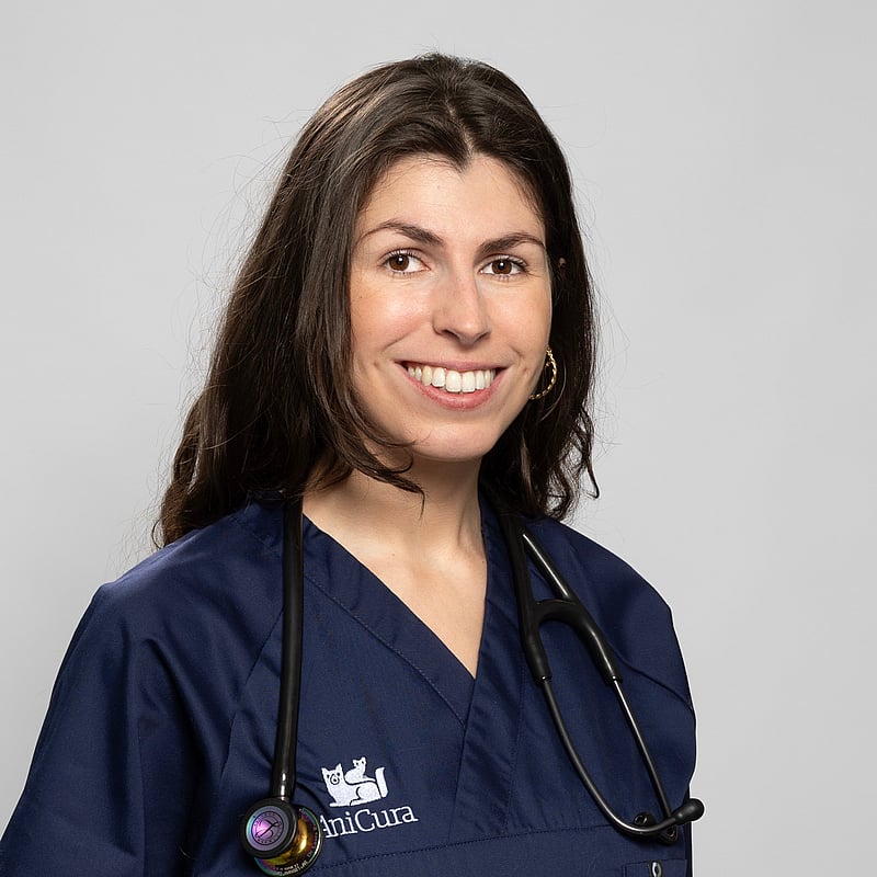 Photo de Dr. Vet. Roncoletta, Clinicienne En Imagerie Médicale