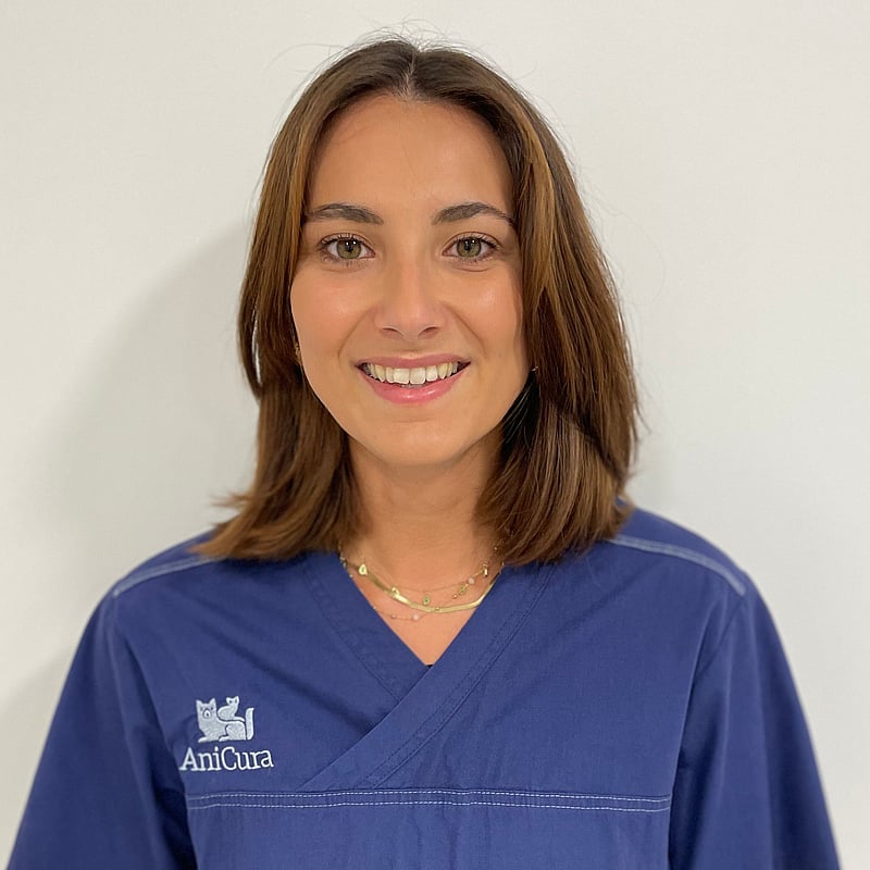 Photo de Dr. Vet. Champommier, Intern