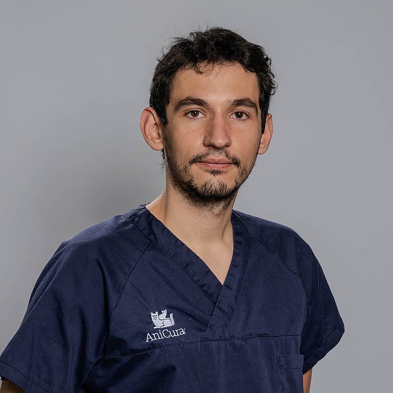 Photo de Dr. Vet. Boudou, Spécialiste Européen En Neurologie Vétérinaire