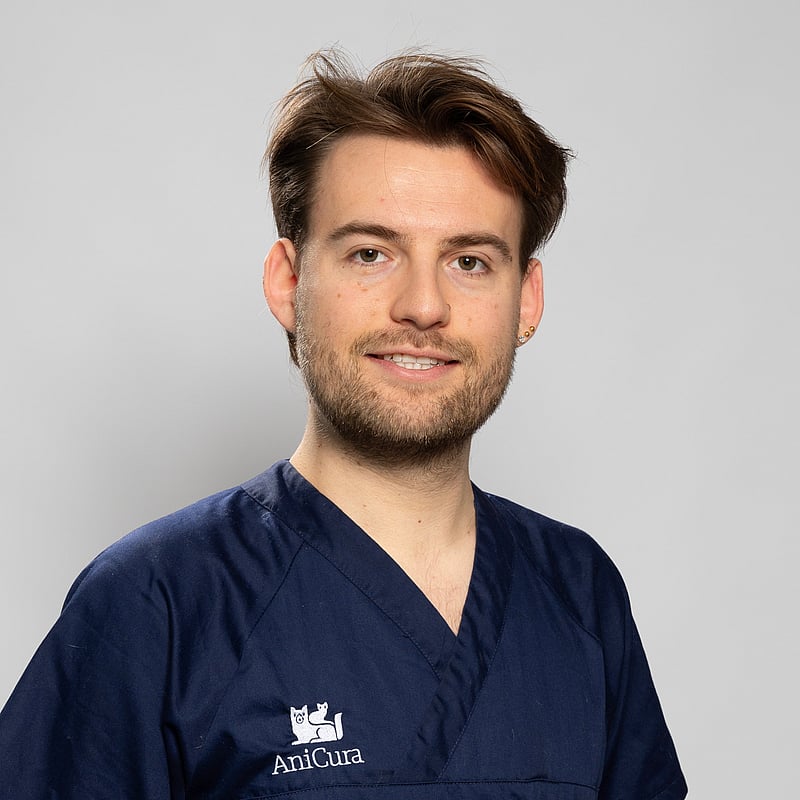 Photo de Dr. Vet. Villaire, Clinicien En Médecine Générale Et Urgences