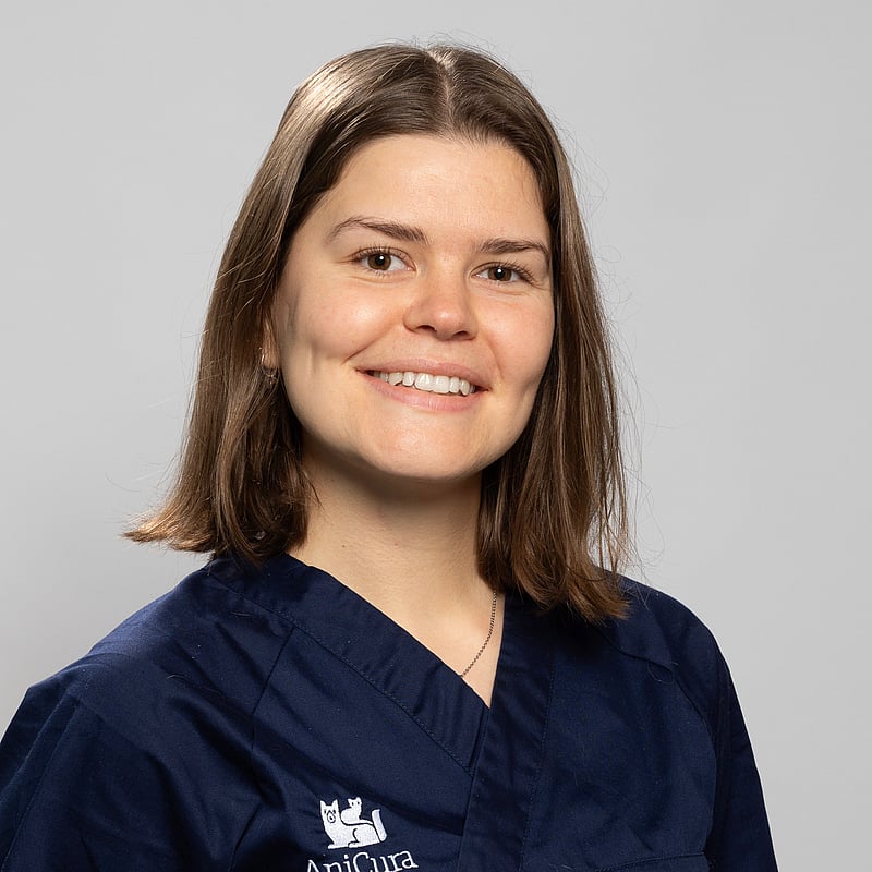 Photo de Dr. Vet. Sparfel, Clinicienne En Médecine Générale Et Urgences