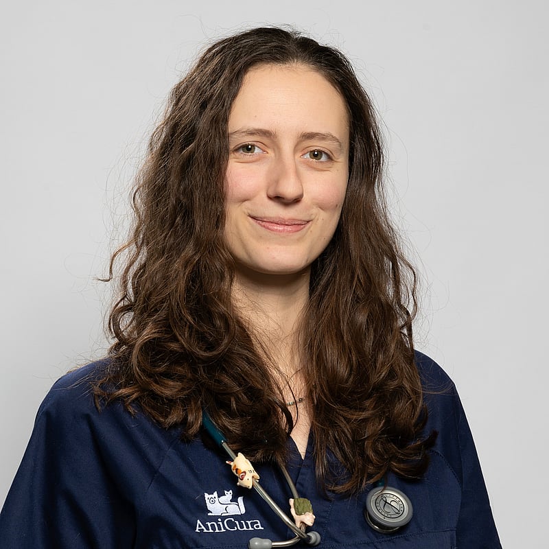 Photo de Dr. Vet. Hecht, Clinicienne En Soins Intensifs Et Urgentologie