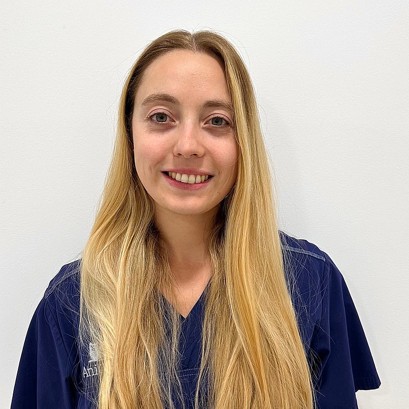 Photo de Dr. Vet. Parisy, Assistante En Chirurgie