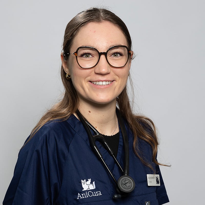 Photo de Dr. Vet. Destailleur, Clinicienne En Médecine Générale Et Urgences