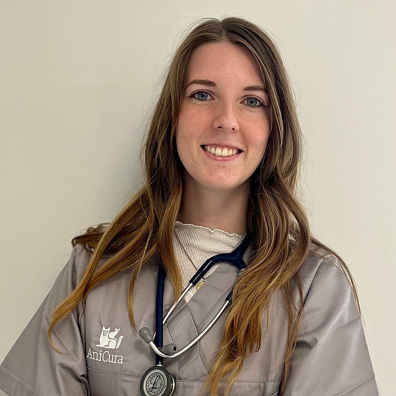 Photo de Dr. Vet. Pyckaert, Urgentiste