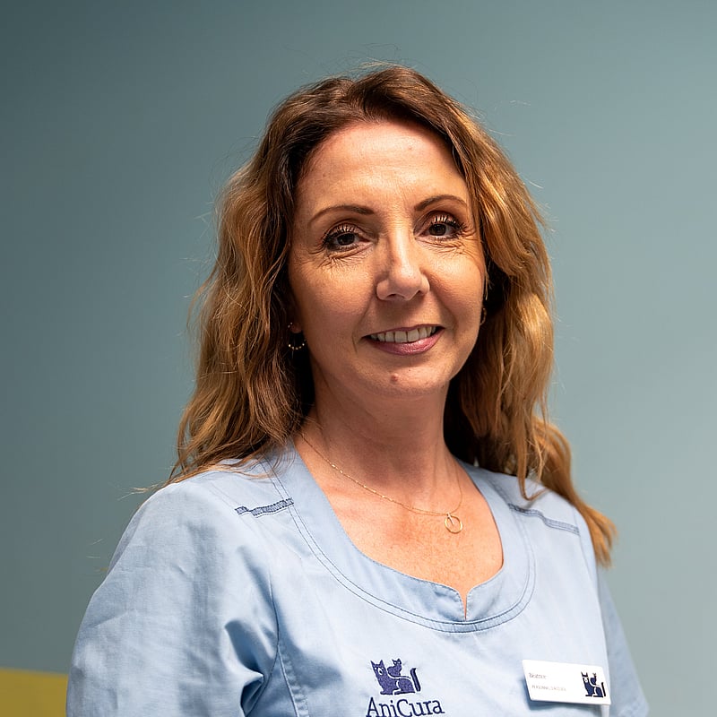 Photo de Béatrice, Asv Personnel D'accueil