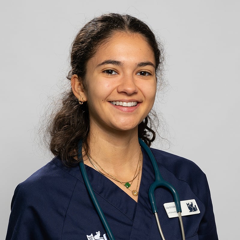 Photo de Dr. Vet. Auckbur, Clinicienne En Médecine Générale Et Urgence