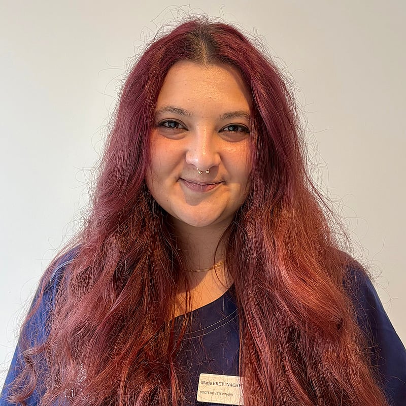 Photo de Médecine générale, Vétérinaire