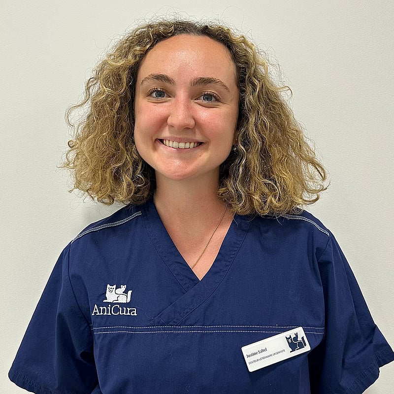 Photo de Dr. Vet. Saltel, Urgentiste