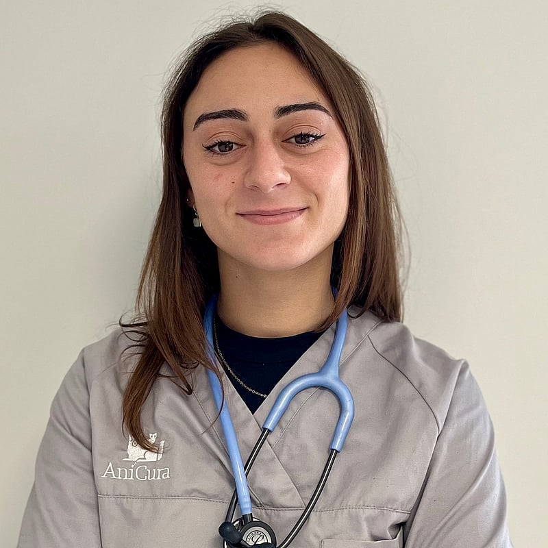 Photo de Dr. Vet. Perrin, Urgentiste