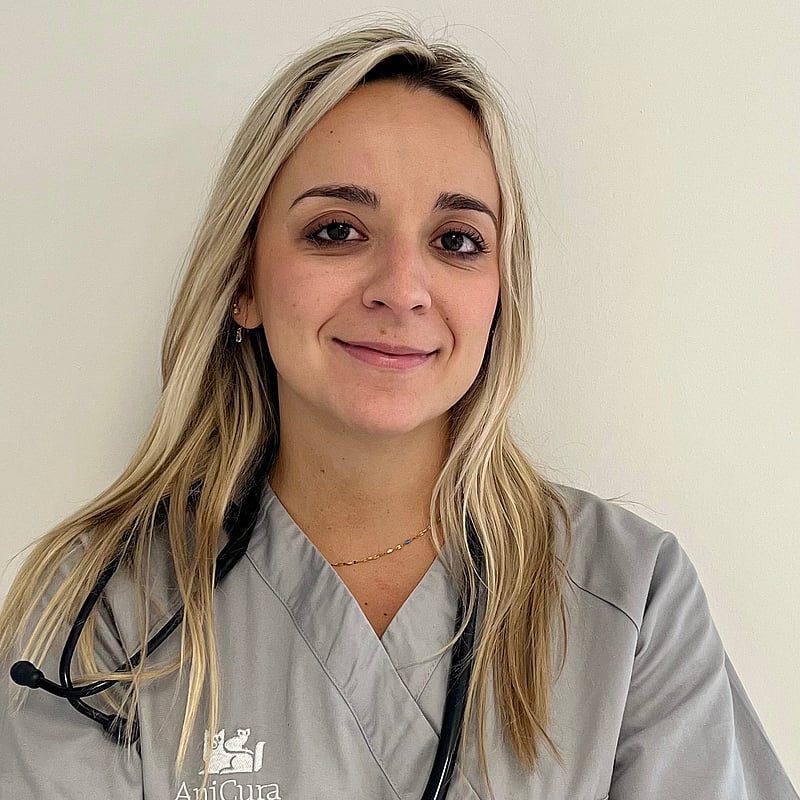 Photo de Dr. Vet. Tendil, Urgentiste