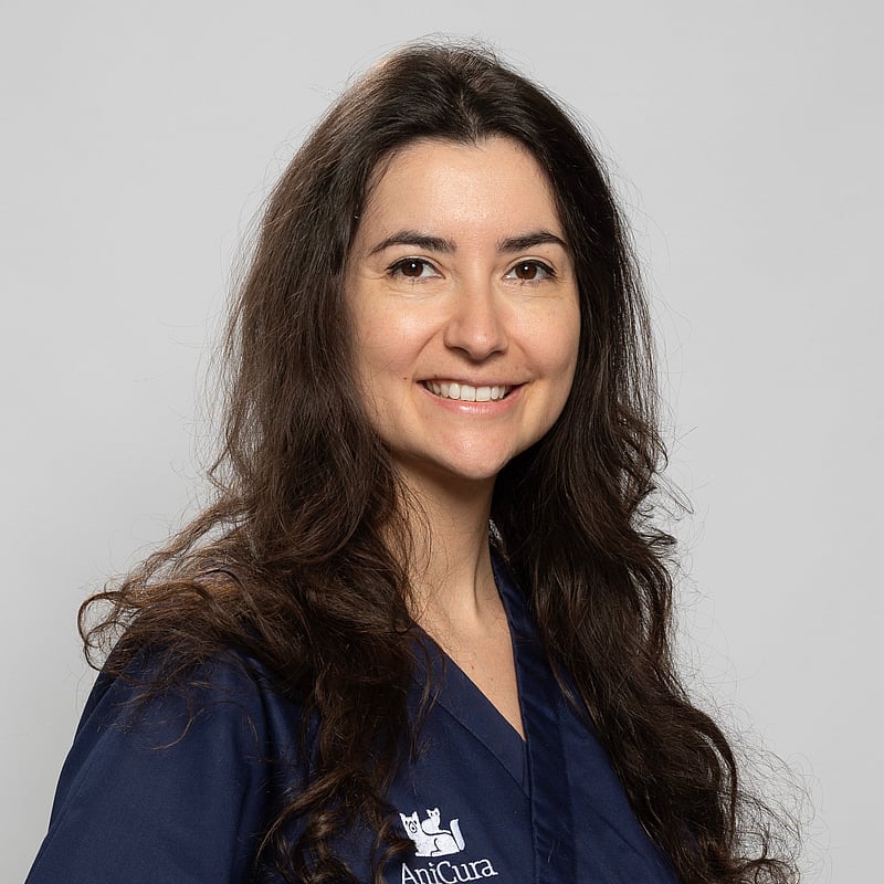 Photo de Dr. Vet. Bonnemaison, Clinicienne En Chirurgie