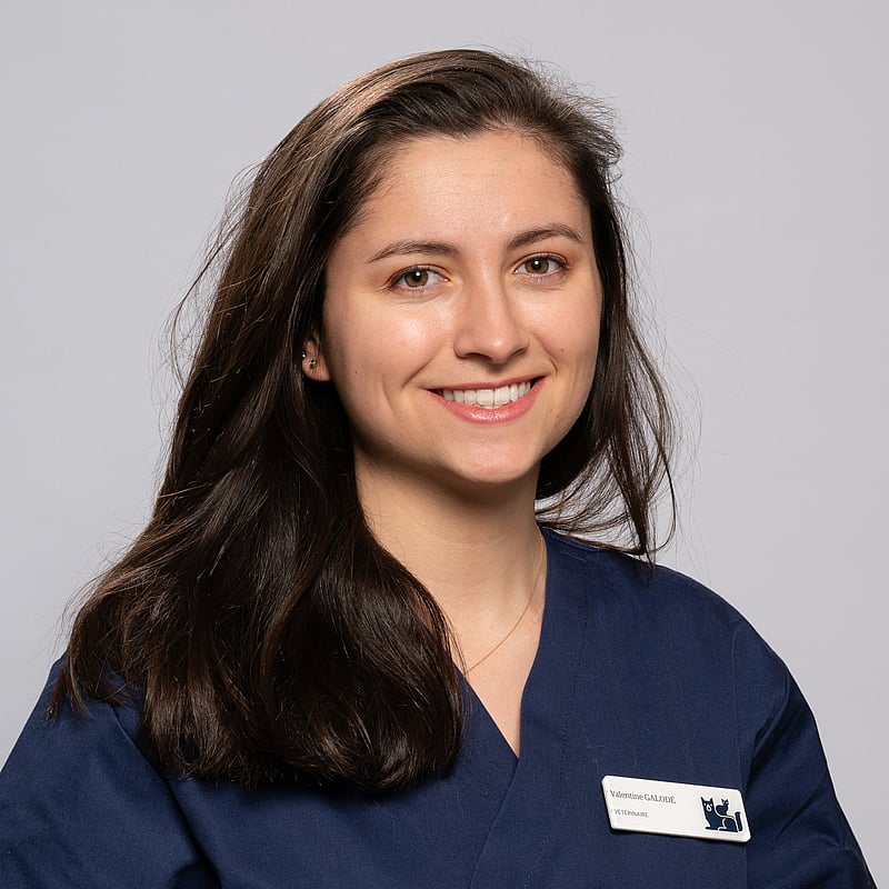 Photo de Dr. Vet. Galodé, Clinicienne En Médecine Générale Et Urgence