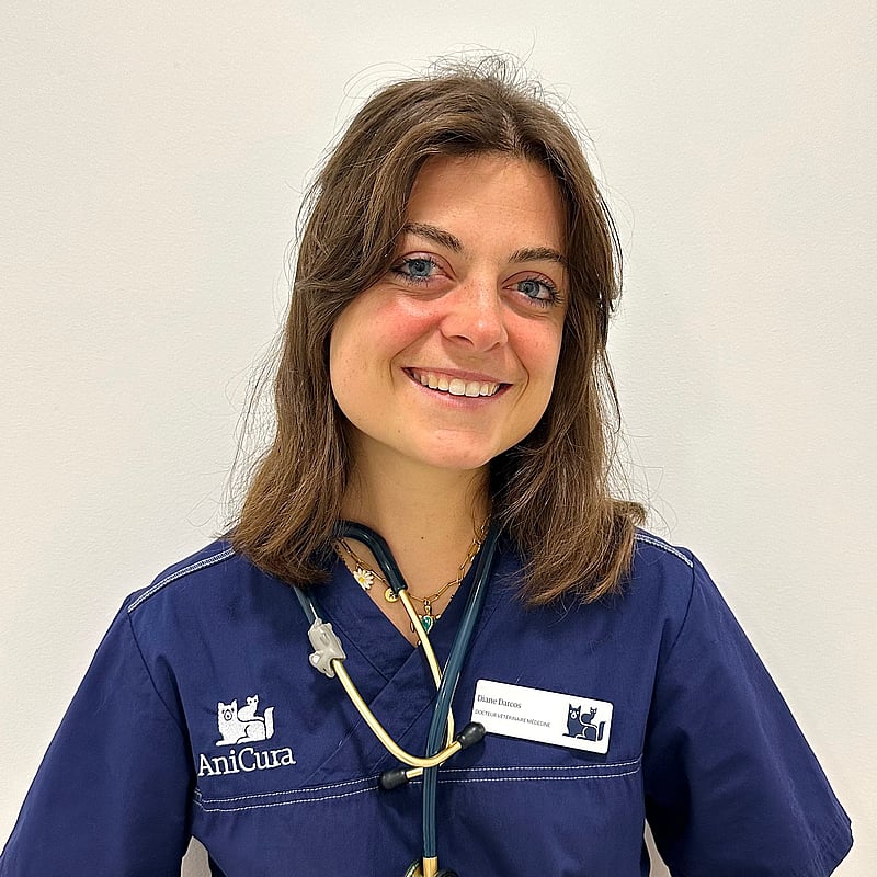 Photo de Dr. Vet. Darcos, Assistante En Médecine Interne