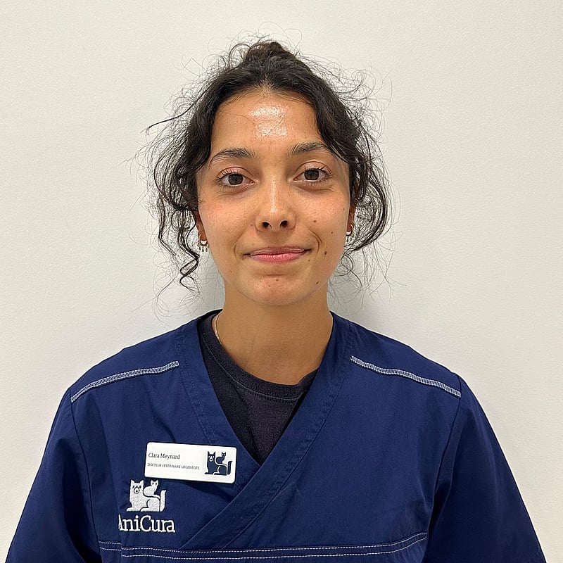 Photo de Dr. Vet. Meynard, Urgentiste