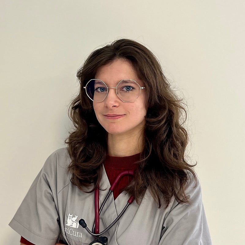 Photo de Dr. Vet. Paviot, Urgentiste