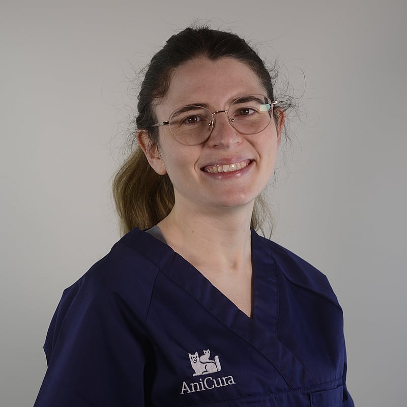 Photo de Dr. Vet. Le Foll, Chirurgie