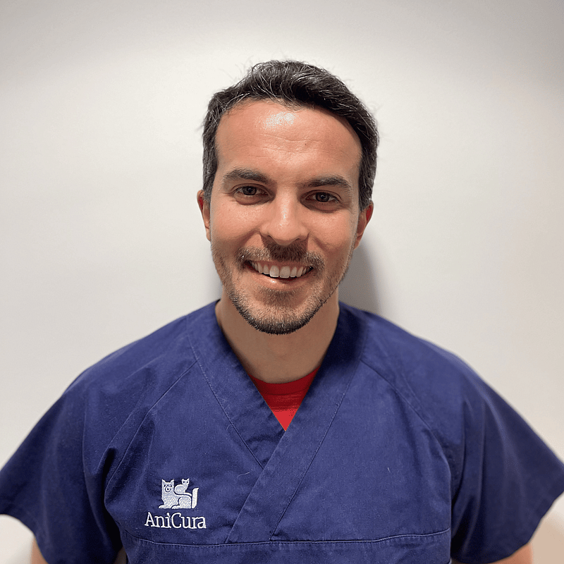 Photo de Dr. Vet. Desbuquois, Médecine, Chirurgie