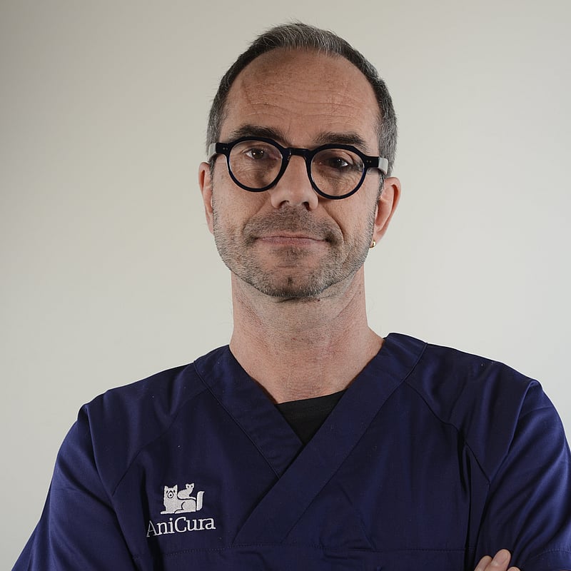 Photo de Dr. Vet. Ruel, Spécialiste Européen En Imagerie Médicale Vétérinaire