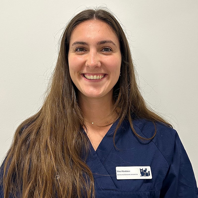 Photo de Dr. Vet. Moulinier, Urgentiste